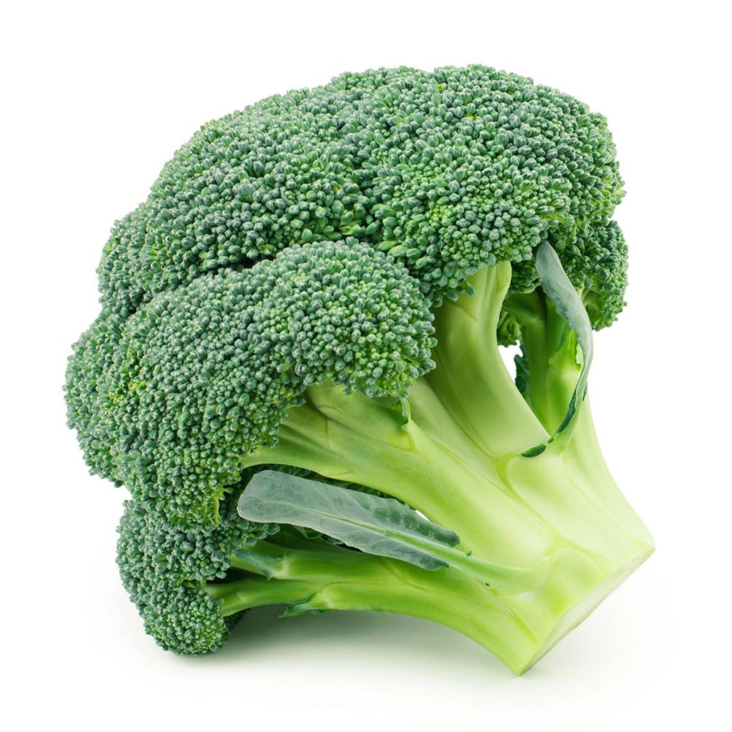 Broccoli Head Ea