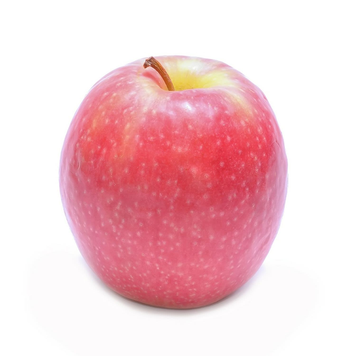 Apple Pink Lady Ea