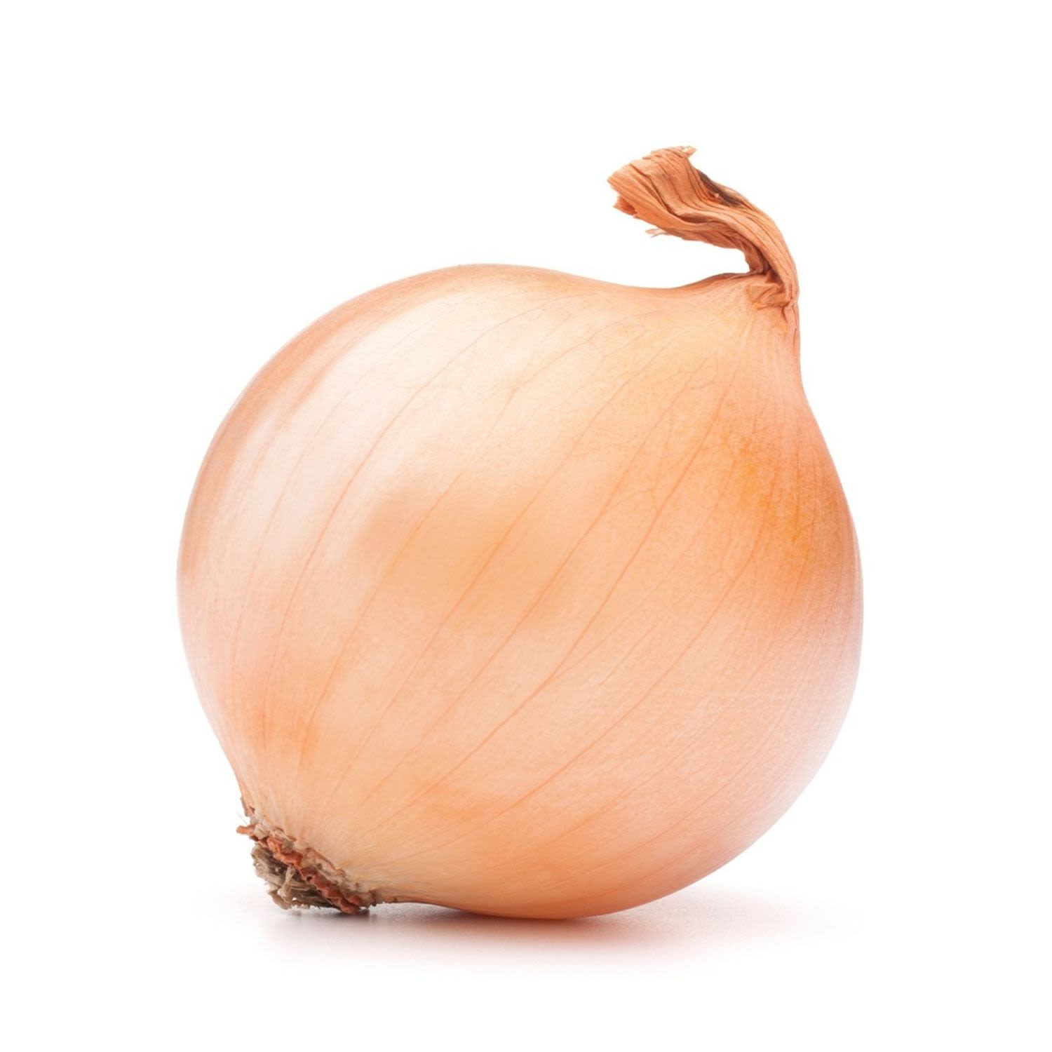 Onions Brown Ea