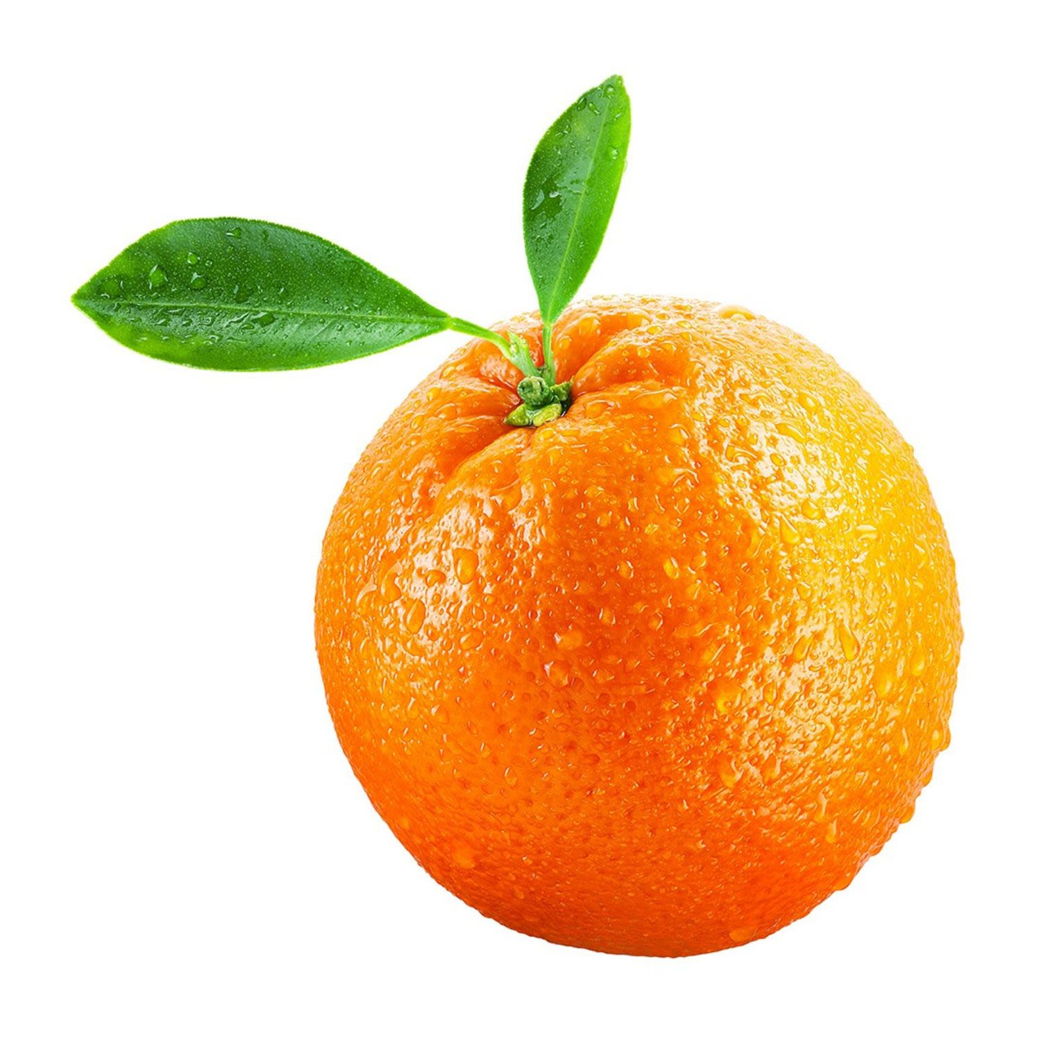 Orange Navel  Ea